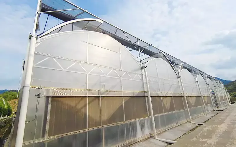 How can I use the Greenhouse Outside Screen System?