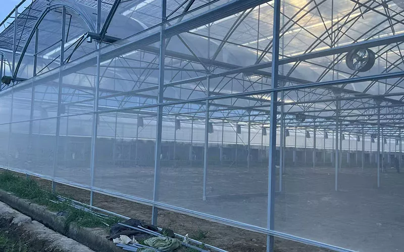 Greenhouse Insect Net leads a new trend in pest control