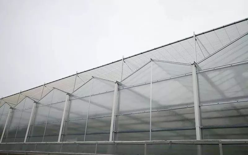 Advanced PC Greenhouse Technology Pioneers Sustainable Agriculture