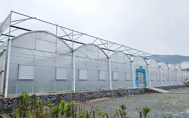 Plastic Greenhouse