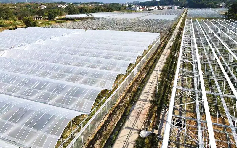 greenhouse