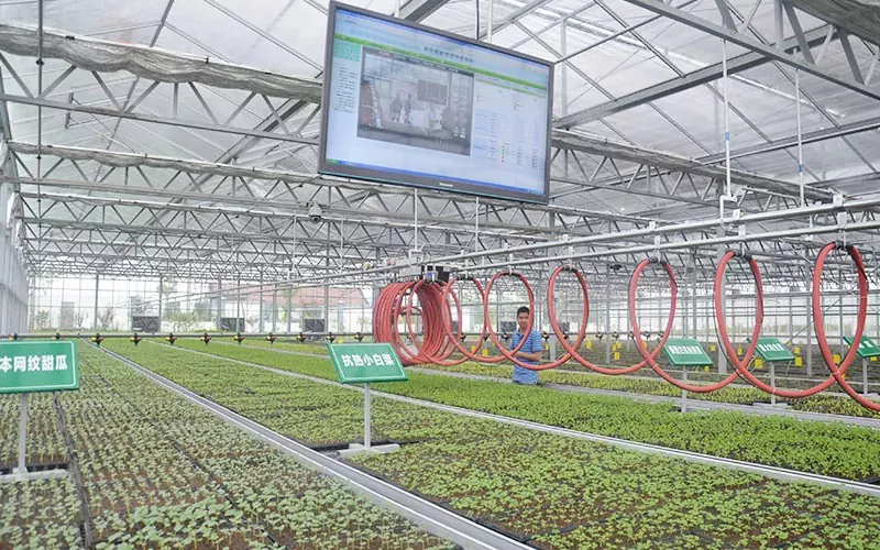 Greenhouse System